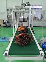 Palm Fruit Chopper